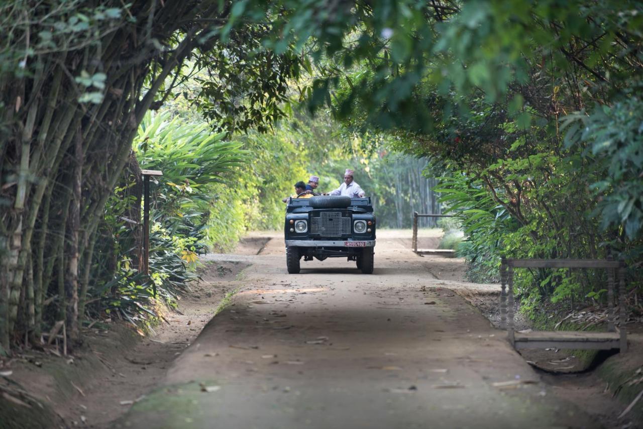 Tiger Tops Tharu Lodge Chitwan Εξωτερικό φωτογραφία