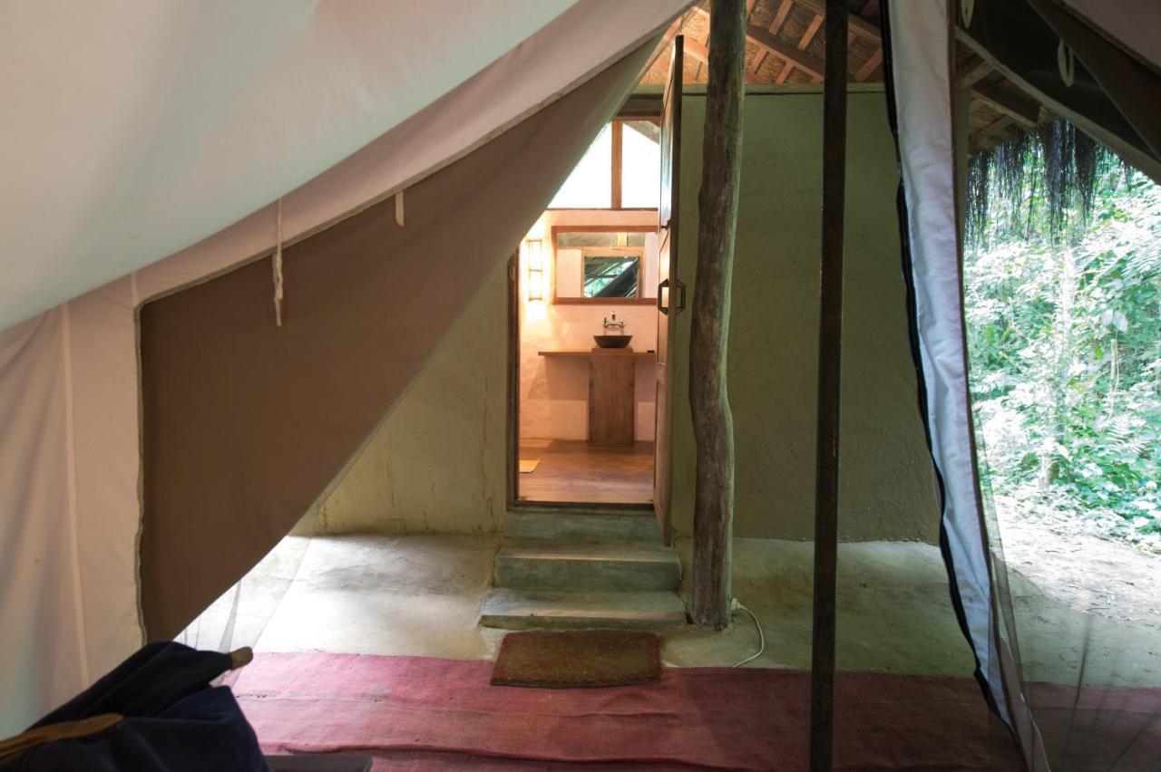 Tiger Tops Tharu Lodge Chitwan Εξωτερικό φωτογραφία