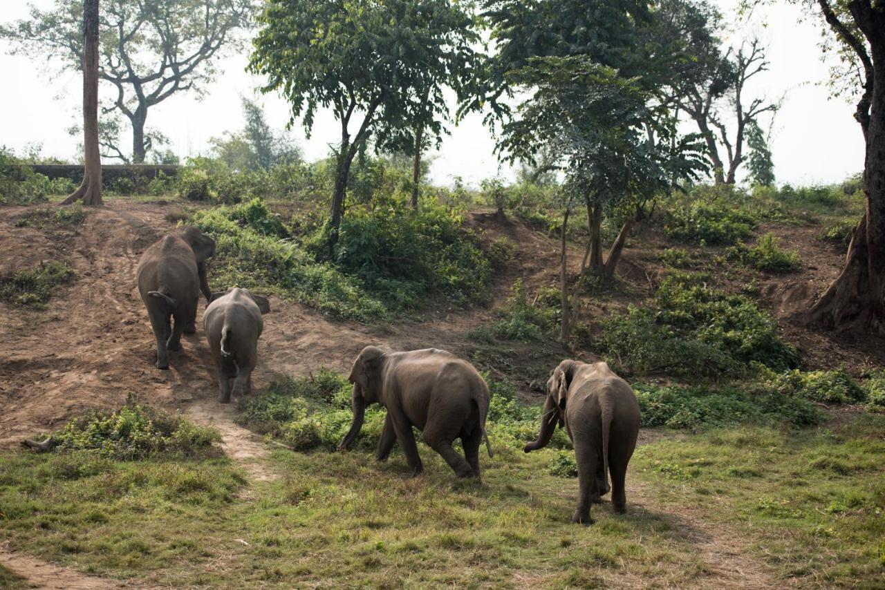 Tiger Tops Tharu Lodge Chitwan Εξωτερικό φωτογραφία