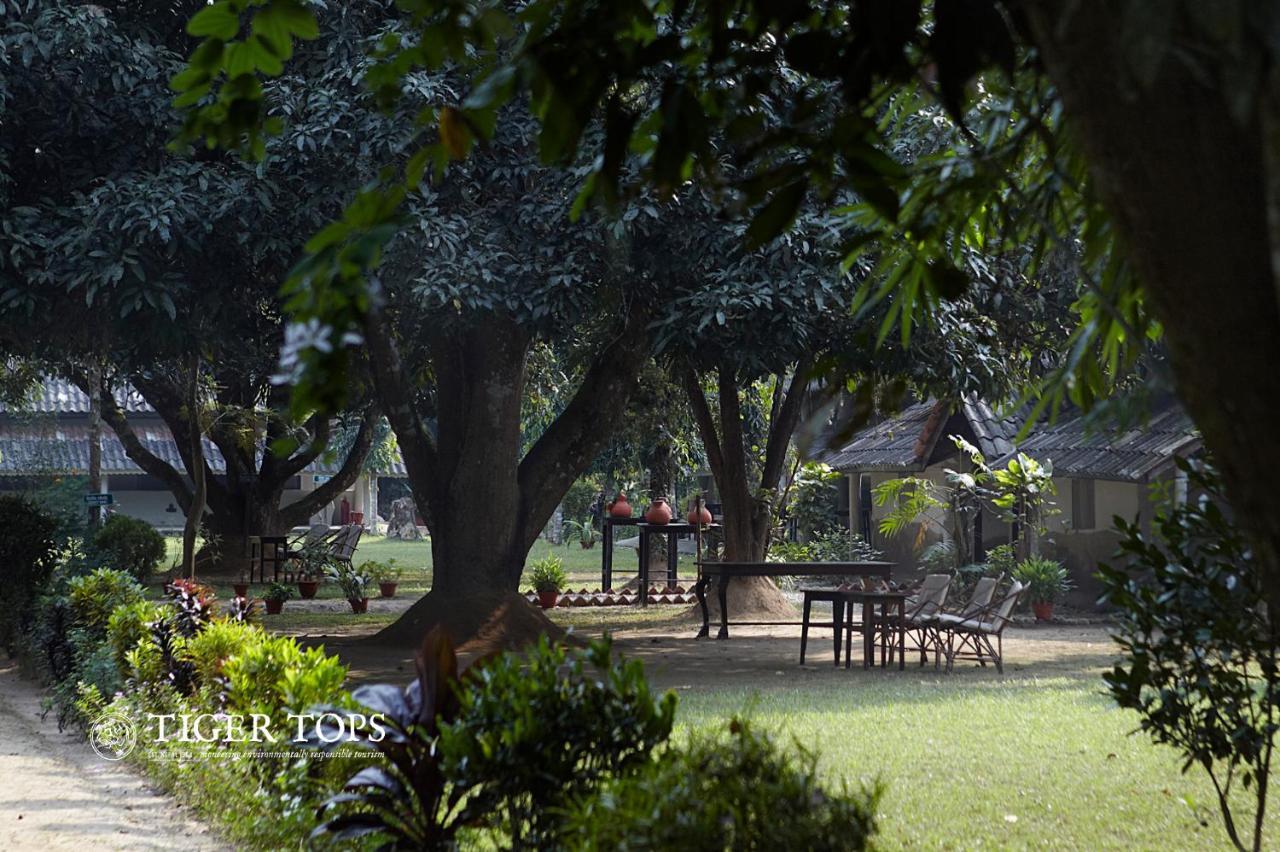 Tiger Tops Tharu Lodge Chitwan Εξωτερικό φωτογραφία