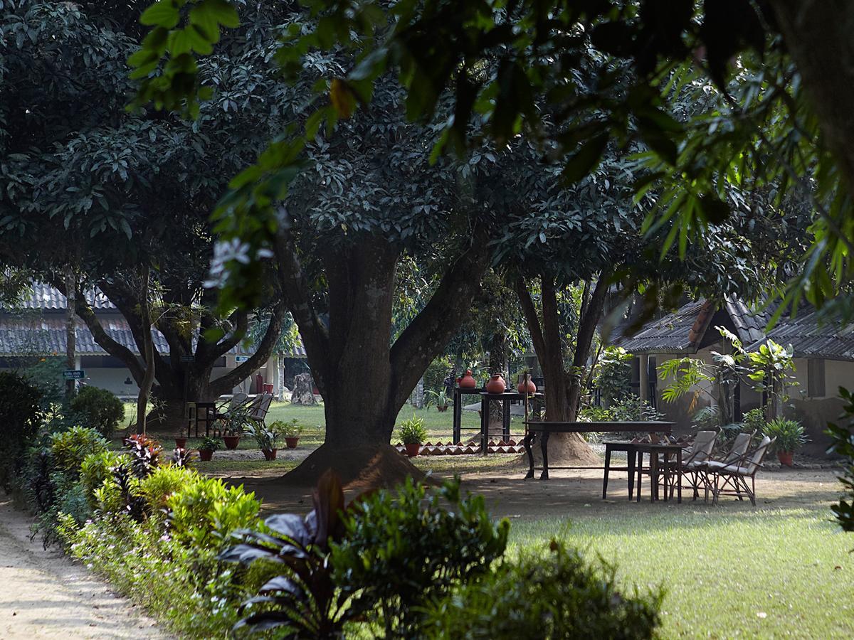 Tiger Tops Tharu Lodge Chitwan Εξωτερικό φωτογραφία
