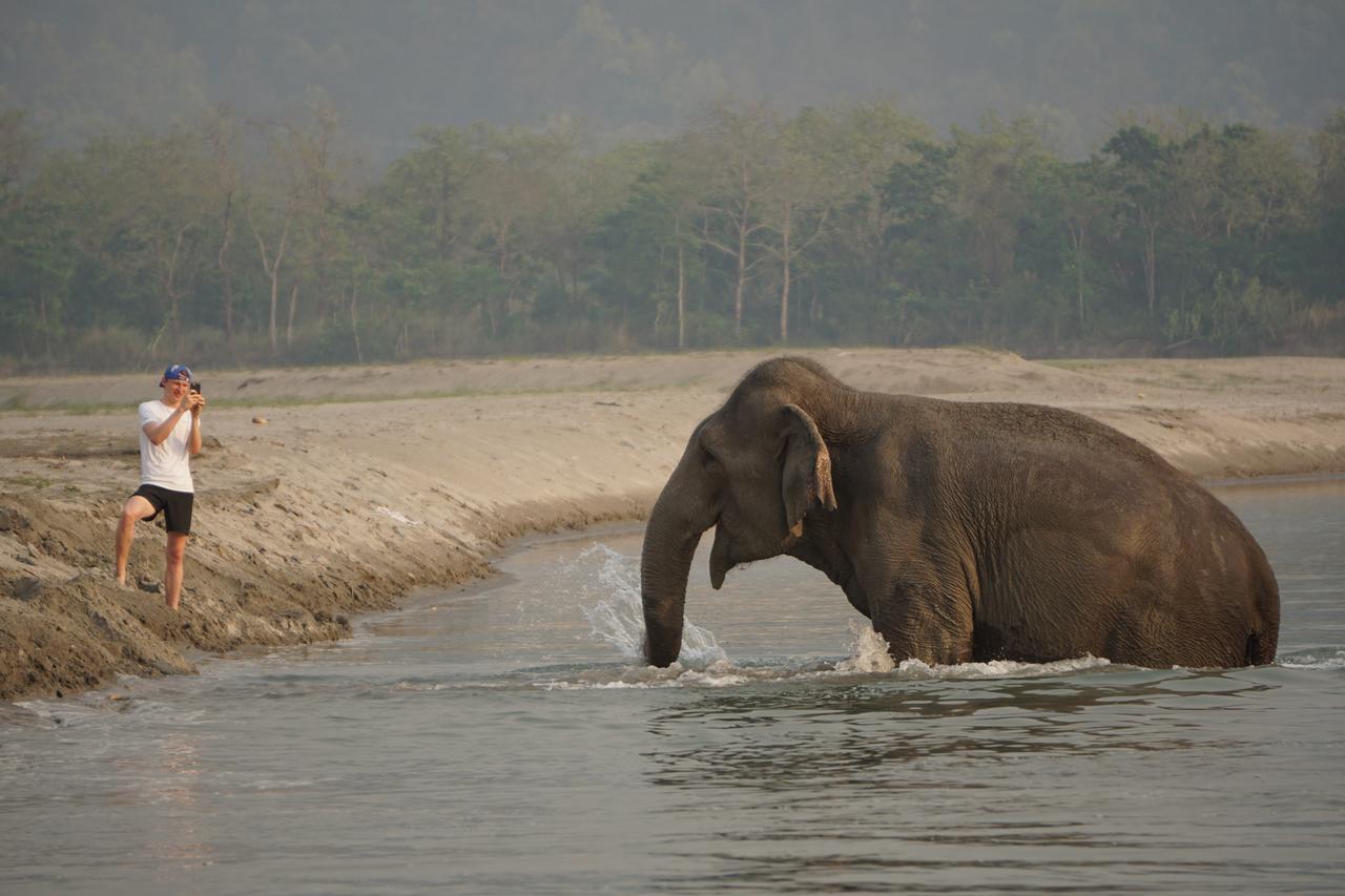 Tiger Tops Tharu Lodge Chitwan Εξωτερικό φωτογραφία