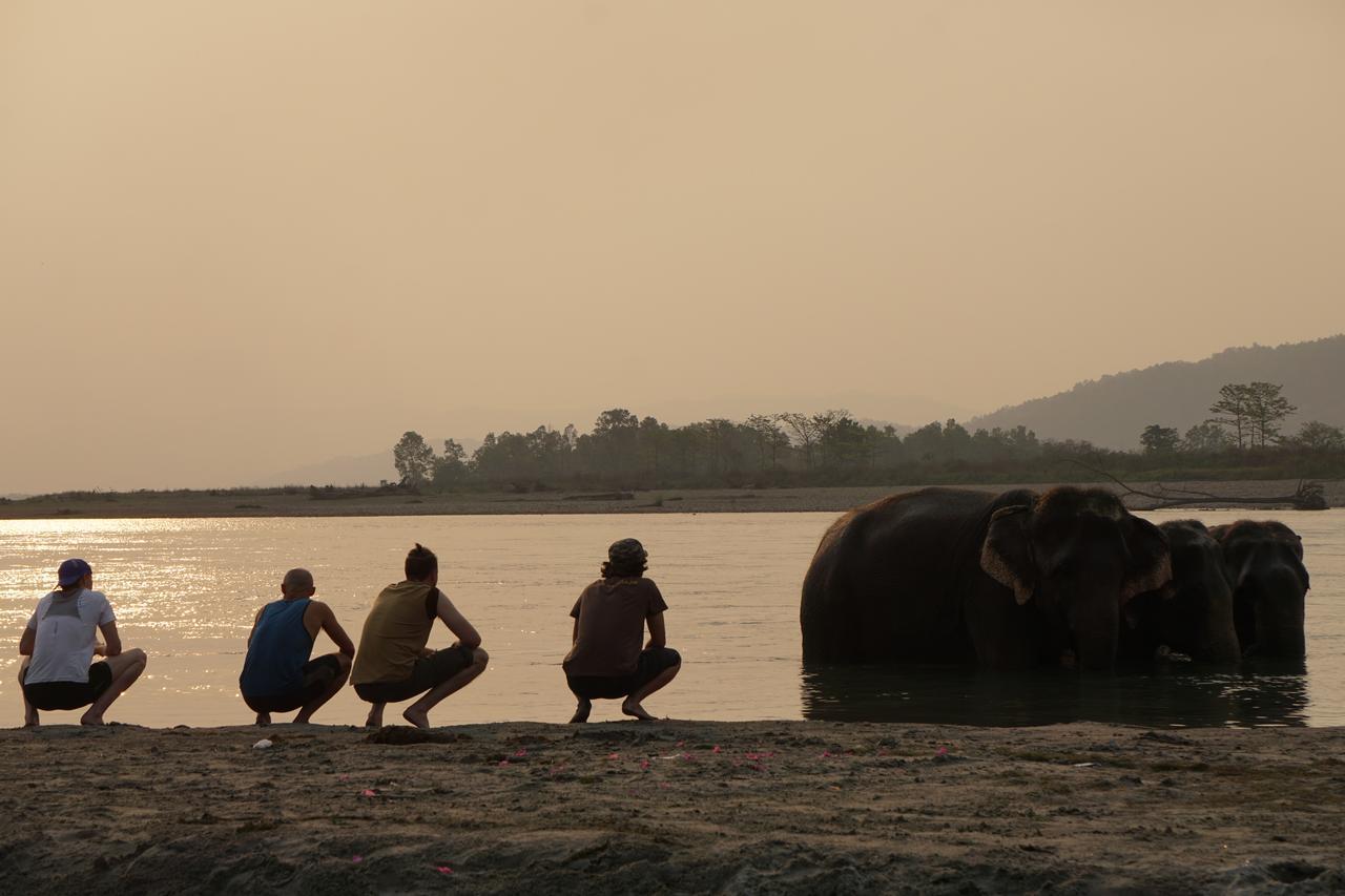 Tiger Tops Tharu Lodge Chitwan Εξωτερικό φωτογραφία