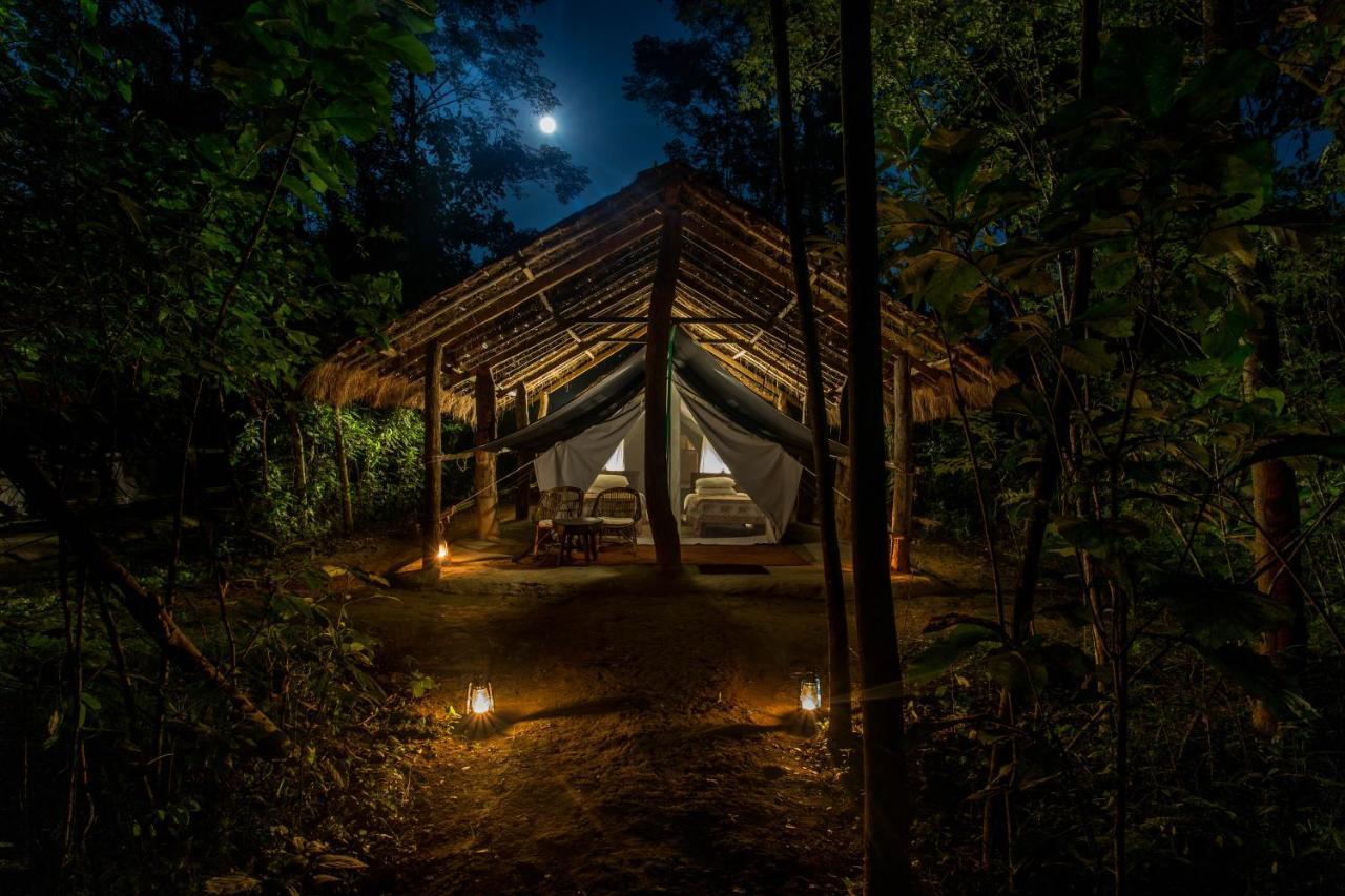 Tiger Tops Tharu Lodge Chitwan Εξωτερικό φωτογραφία