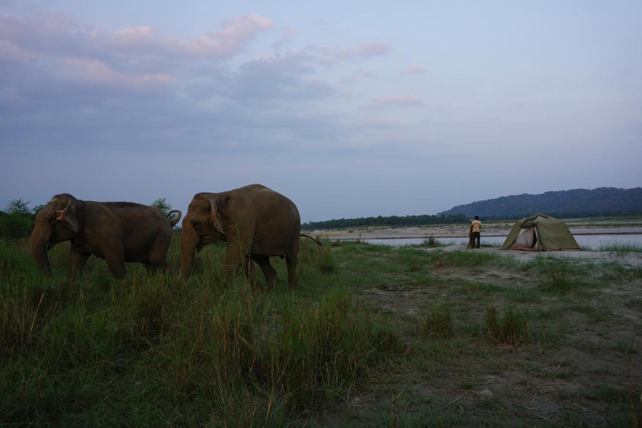 Tiger Tops Tharu Lodge Chitwan Εξωτερικό φωτογραφία