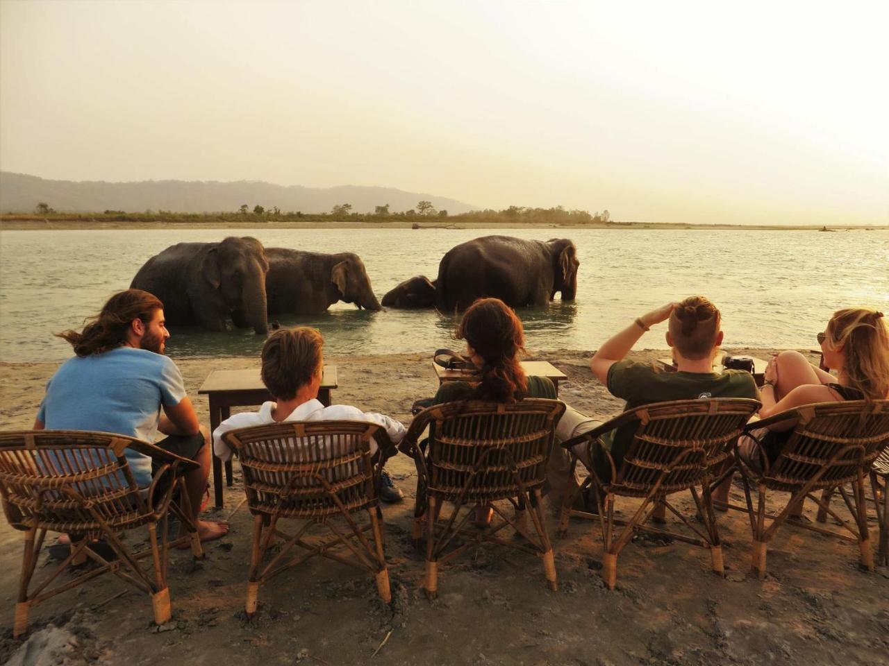 Tiger Tops Tharu Lodge Chitwan Εξωτερικό φωτογραφία