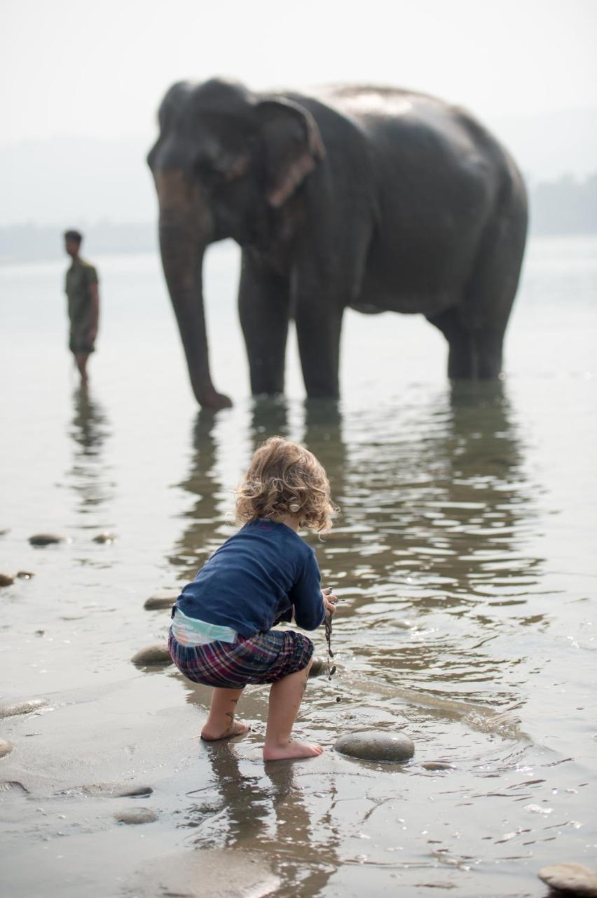 Tiger Tops Tharu Lodge Chitwan Εξωτερικό φωτογραφία