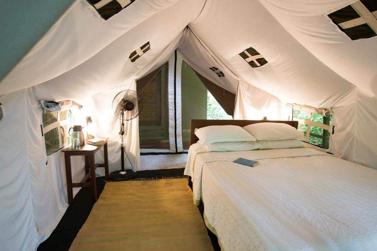 Tiger Tops Tharu Lodge Chitwan Εξωτερικό φωτογραφία
